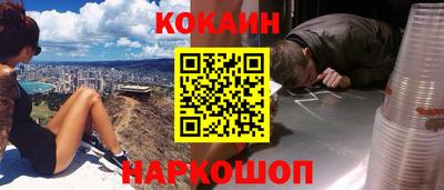 крисы Можга