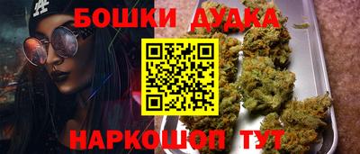прущие грибы Моздок
