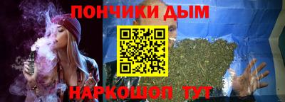 крисы Можга