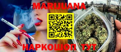 крисы Можга