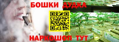 прущие грибы Моздок