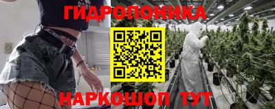 крисы Можга
