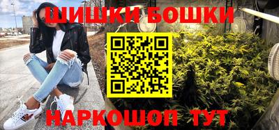 крисы Можга