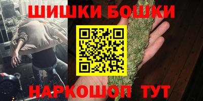 крисы Можга