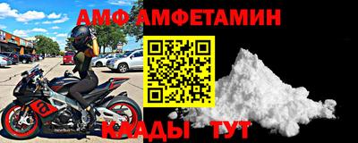 крисы Можга